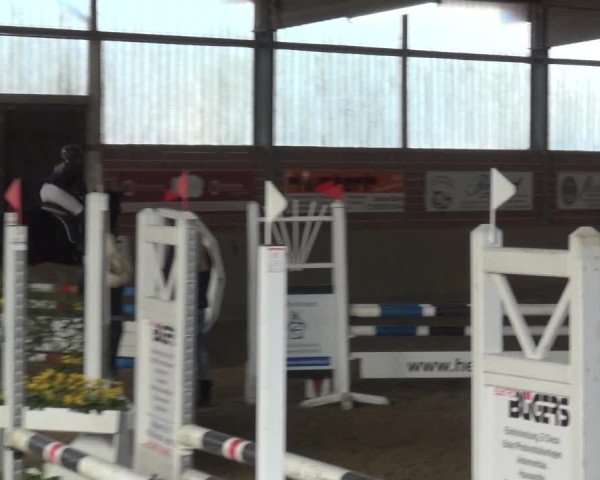 Reitturnier Lembeck 2018