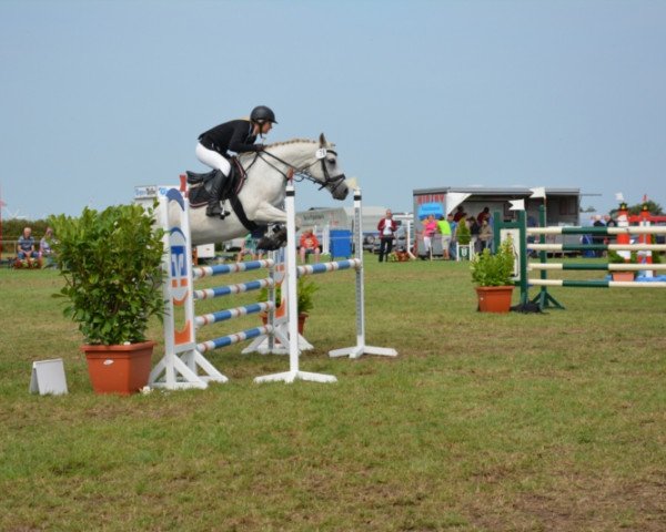 Springpferd Artax 67 (Deutsches Reitpony, 1996)