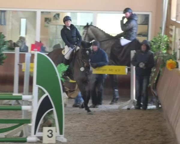 Reitturnier Dettingen 2018