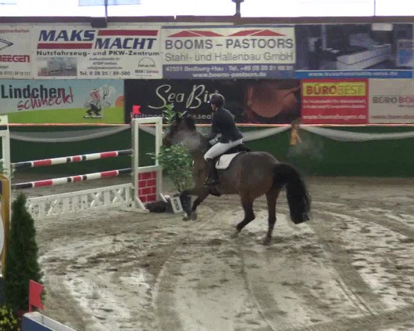 Reitturnier Keppeln  - Reitanlage "Hötzenhof" 2018