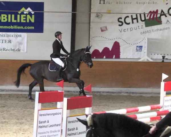 Reitturnier Viernheim 2018