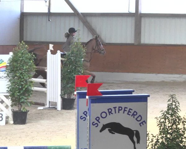 Reitturnier Viernheim 2018