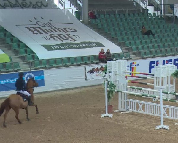 Reitturnier Kreuth 2018