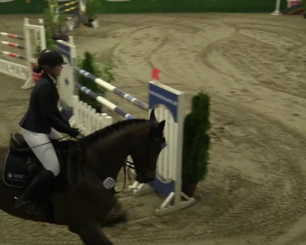 Reitturnier Keppeln  - Reitanlage "Hötzenhof" 2018