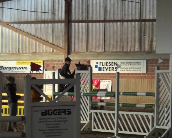Reitturnier Lembeck 2018