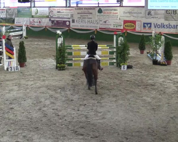 Reitturnier Keppeln  - Reitanlage "Hötzenhof" 2018
