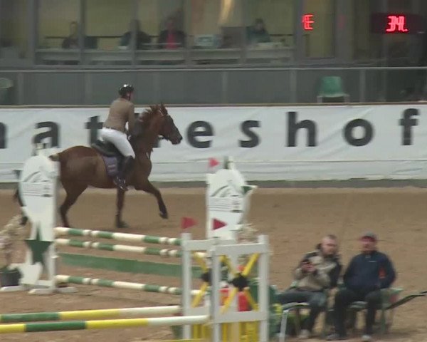 Reitturnier Kreuth 2018