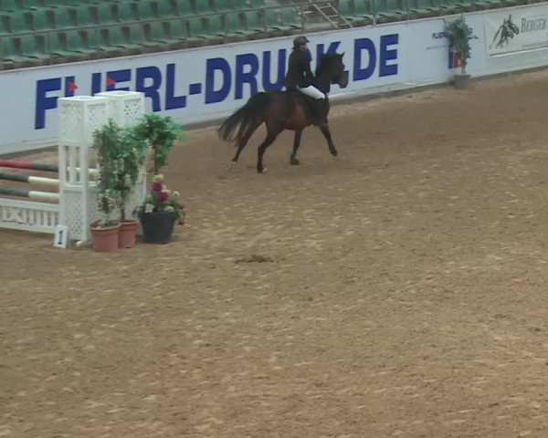 Reitturnier Kreuth 2018