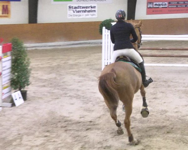Reitturnier Viernheim 2018