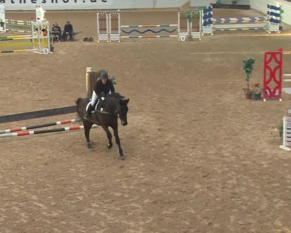 Reitturnier Kreuth 2018