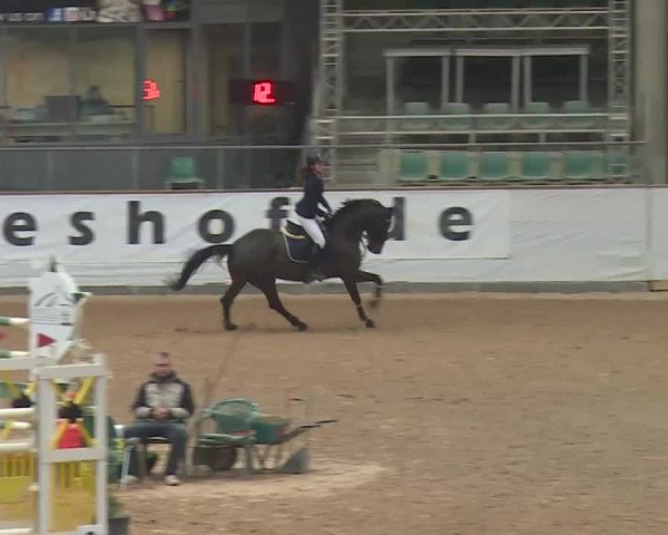 Reitturnier Kreuth 2018