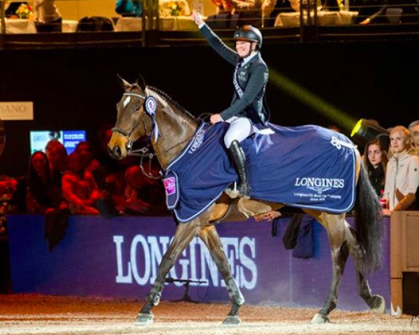 Zuchtstute Flip's Little Sparrow (Schwedisches Warmblut, 2006, von VDL Cardento 933)