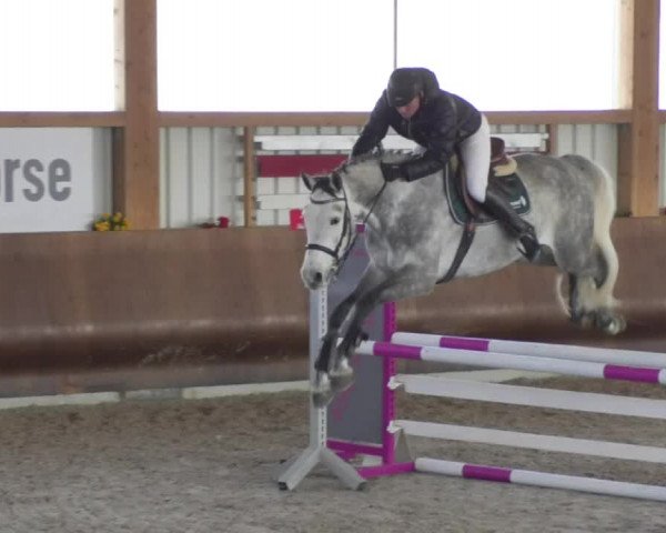 Reitturnier Dettingen 2018