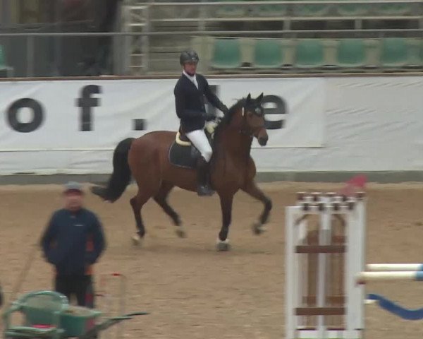 Reitturnier Kreuth 2018