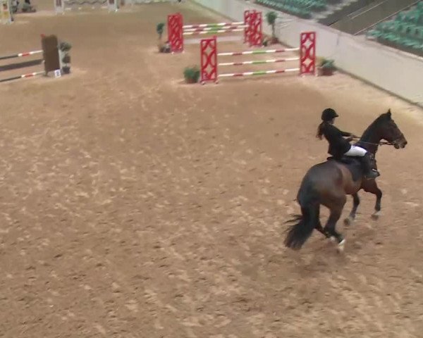 Reitturnier Kreuth 2018