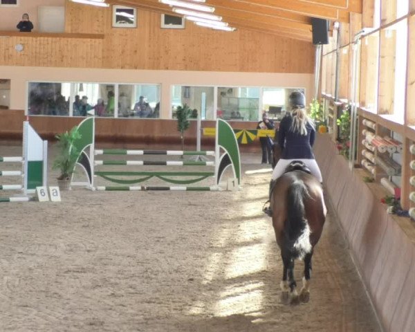 Reitturnier Dettingen 2018