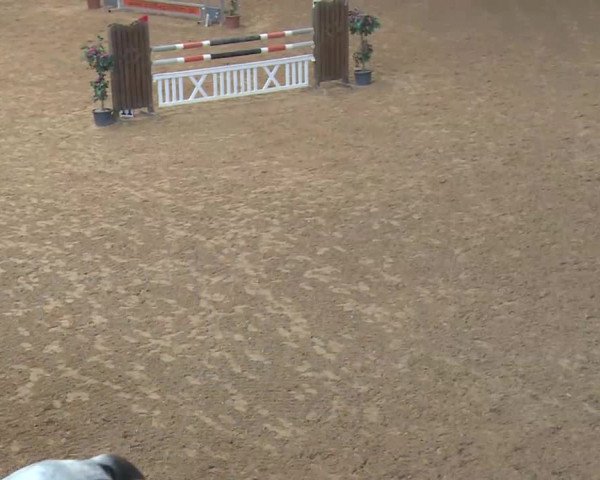 Reitturnier Kreuth 2018