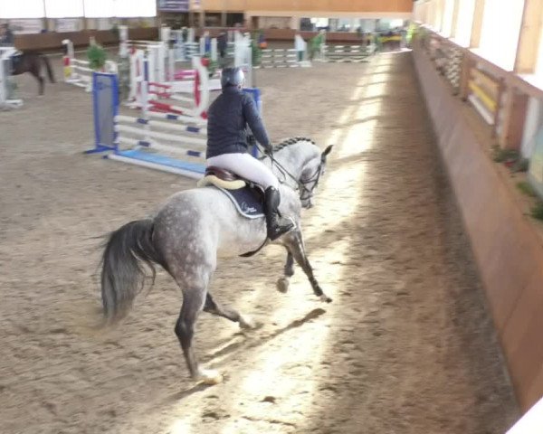 Reitturnier Dettingen 2018