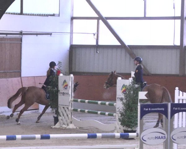 Reitturnier Viernheim 2018