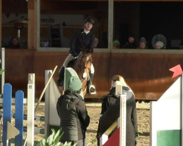 Reitturnier Dettingen 2018