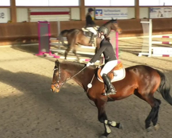 Reitturnier Dettingen 2018