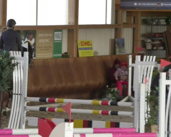 Reitturnier Dettingen 2018