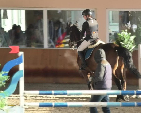 Reitturnier Dettingen 2018