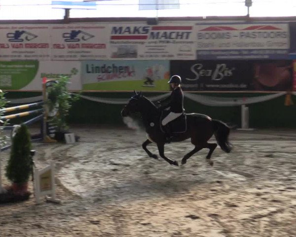 Reitturnier Keppeln  - Reitanlage "Hötzenhof" 2018