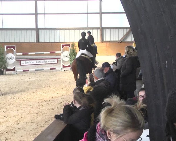 Reitturnier Viernheim 2018