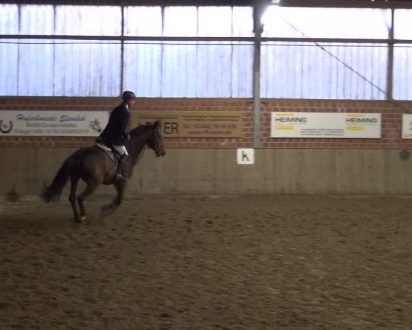 Reitturnier Lembeck 2018