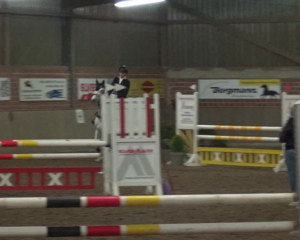 Reitturnier Lembeck 2018
