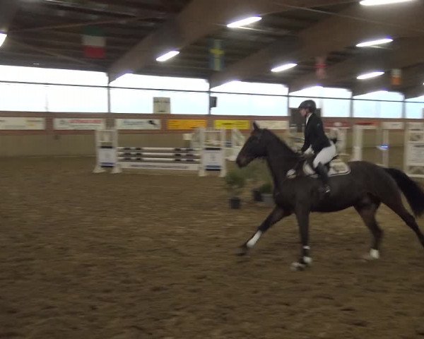 Reitturnier Lembeck 2018