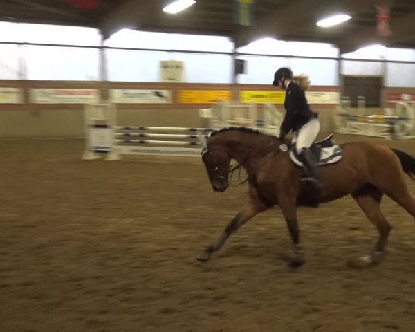 Reitturnier Lembeck 2018