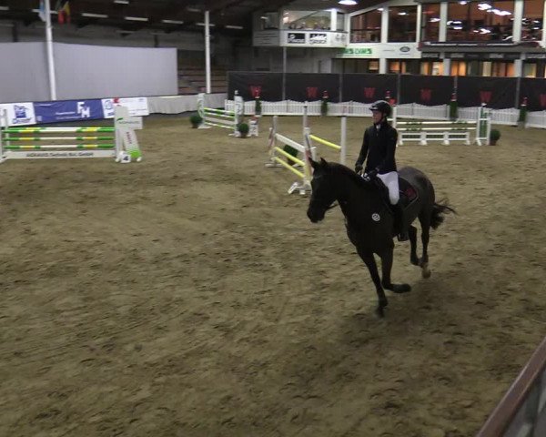 Reitturnier Münster-Handorf 2021