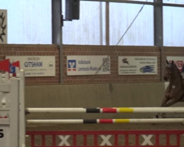Reitturnier Lembeck 2018