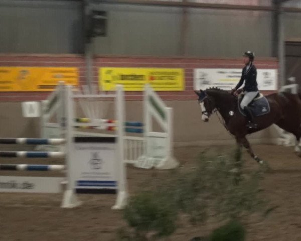 Reitturnier Lembeck 2018