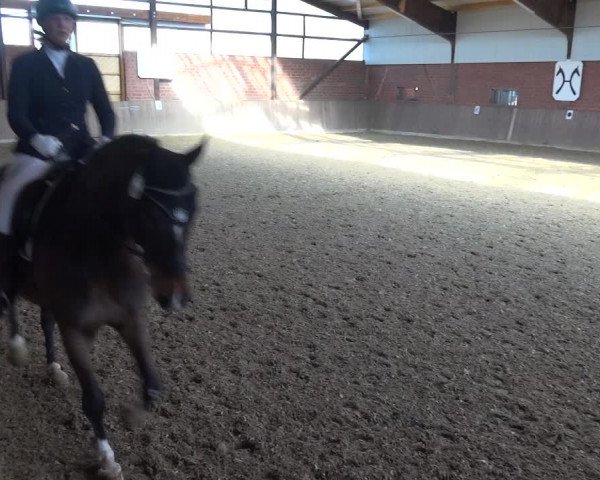 Reitturnier Lembeck 2018