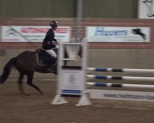 Reitturnier Lembeck 2018