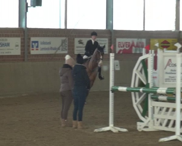 Reitturnier Lembeck 2018