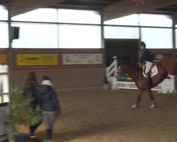 Reitturnier Lembeck 2018