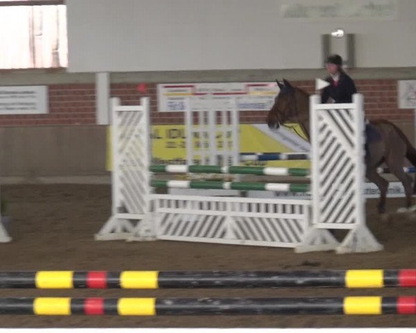 Reitturnier Lembeck 2018