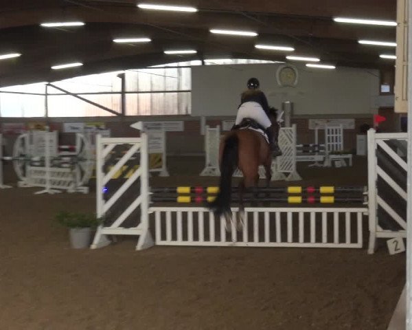 Reitturnier Lembeck 2018