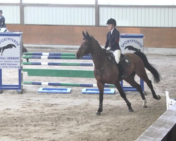 Reitturnier Viernheim 2018