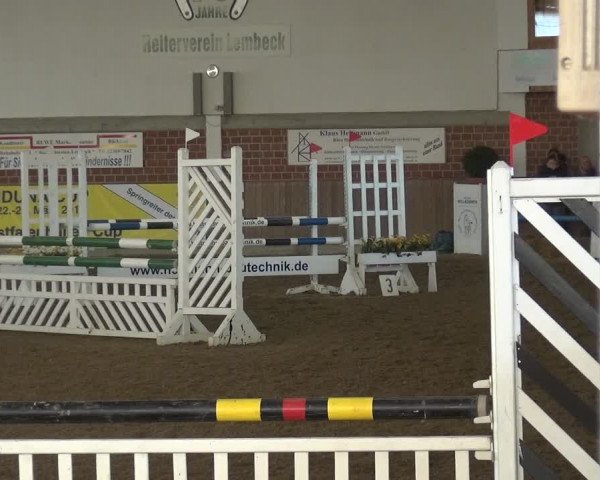 Reitturnier Lembeck 2018