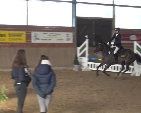 Reitturnier Lembeck 2018