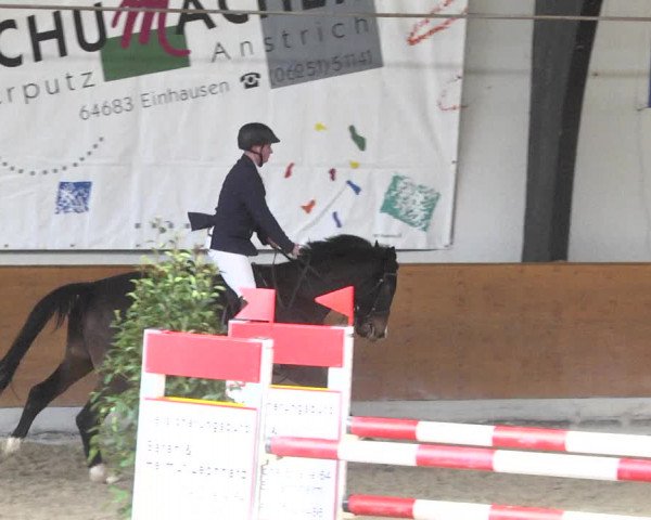 Reitturnier Viernheim 2018