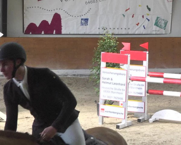 Reitturnier Viernheim 2018