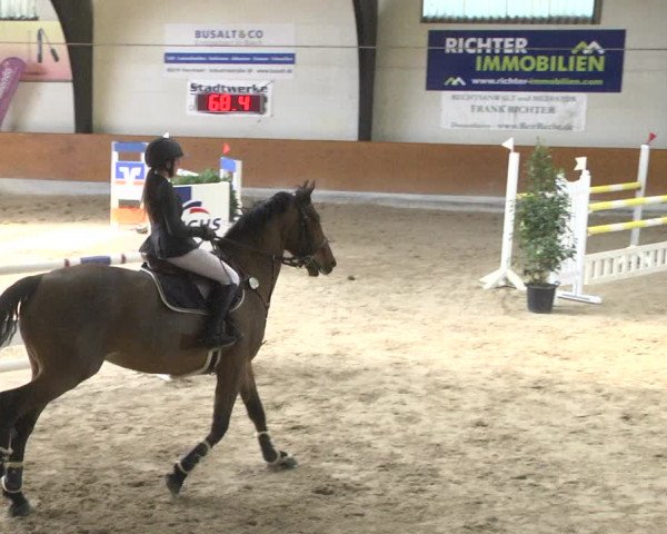 Reitturnier Viernheim 2018
