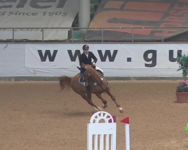 Reitturnier Kreuth 2018