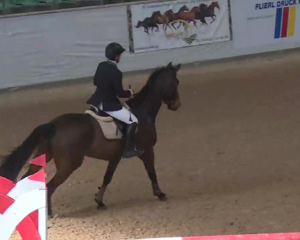 Reitturnier Kreuth 2018